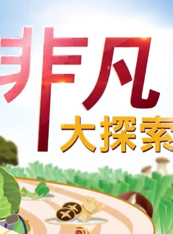 精品偷拍美女被操的满口淫语大叫喜欢你操我鸡巴又粗又长把我小骚逼都操开了好痒啊 - 痴汉电车